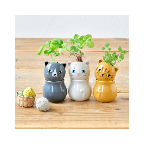 Corocoro Cats