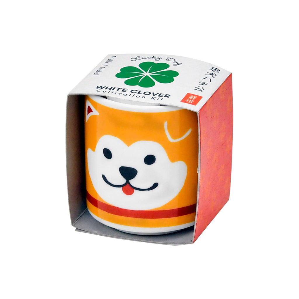 Lucky Plants - Hachi Dog