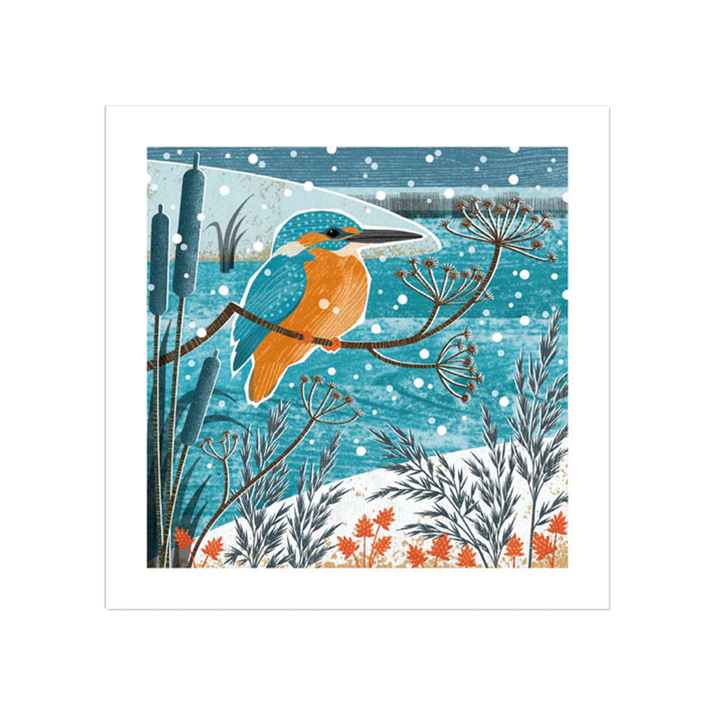 Holiday Boxed Cards - Winter Kingfisher