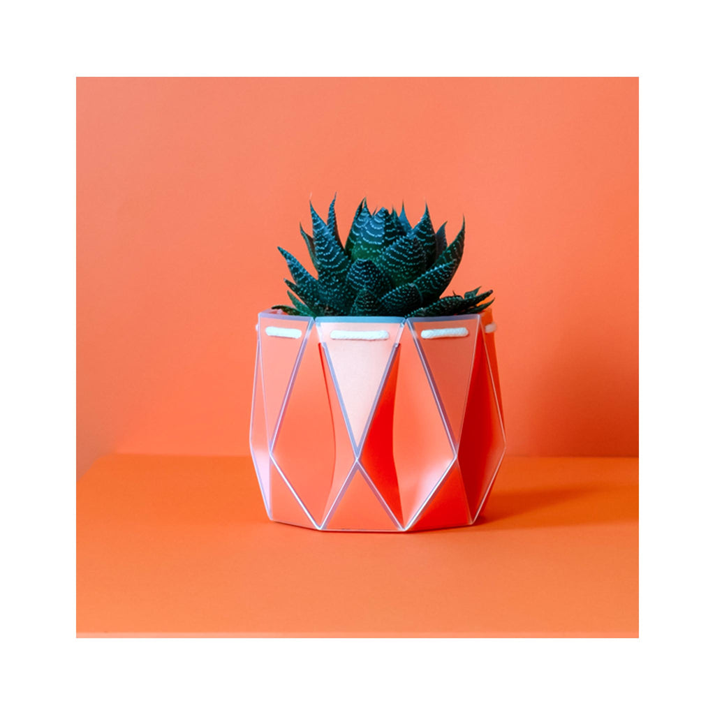 POTR Self Watering Pots - Large - Coral
