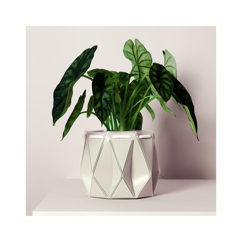 POTR Self Watering Pots - Medium - Ivory in use