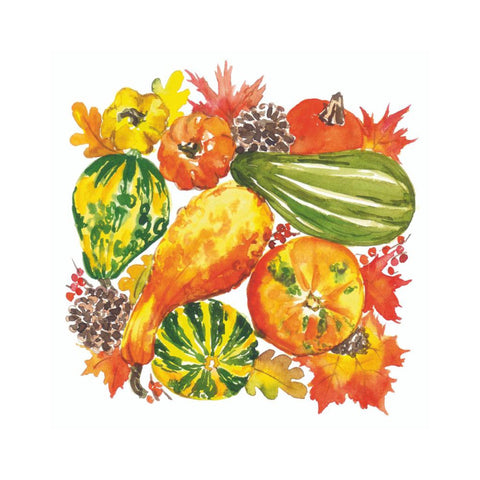 Calabaza Beverage Napkins