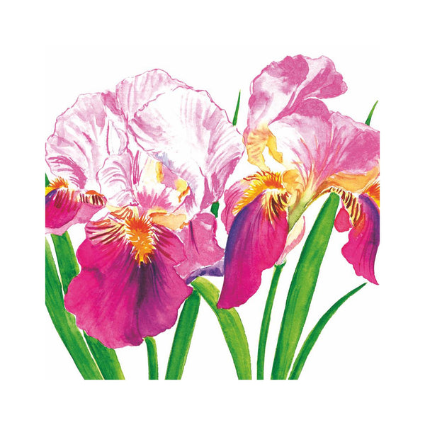 Sweet Iris Beverage Napkins