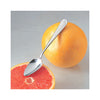 Grapefruit Spoon