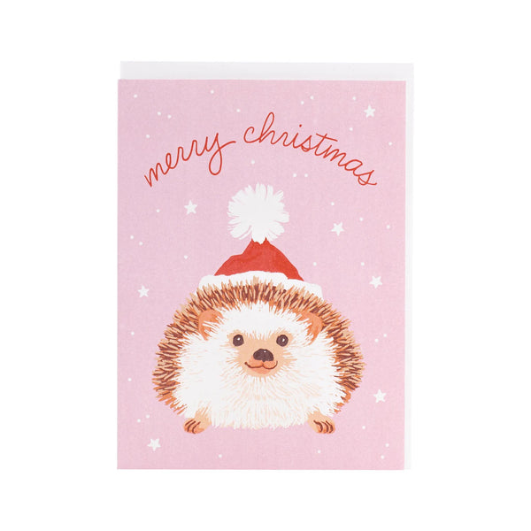 Hedgehog in Santa Hat Christmas Boxed Cards