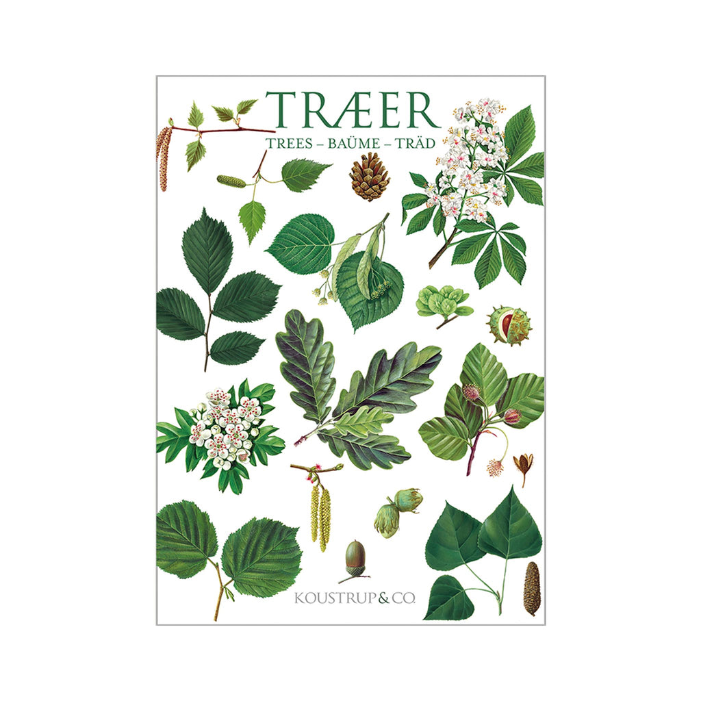 Trees Notecards Set of 8