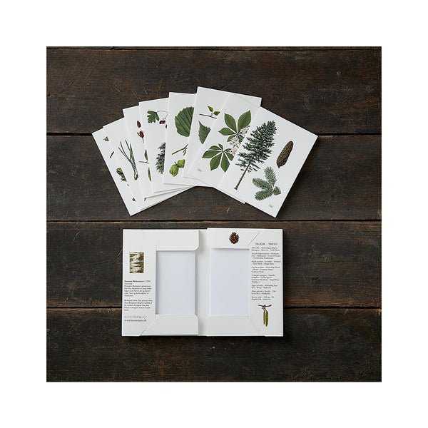 Trees Notecards Set of 8