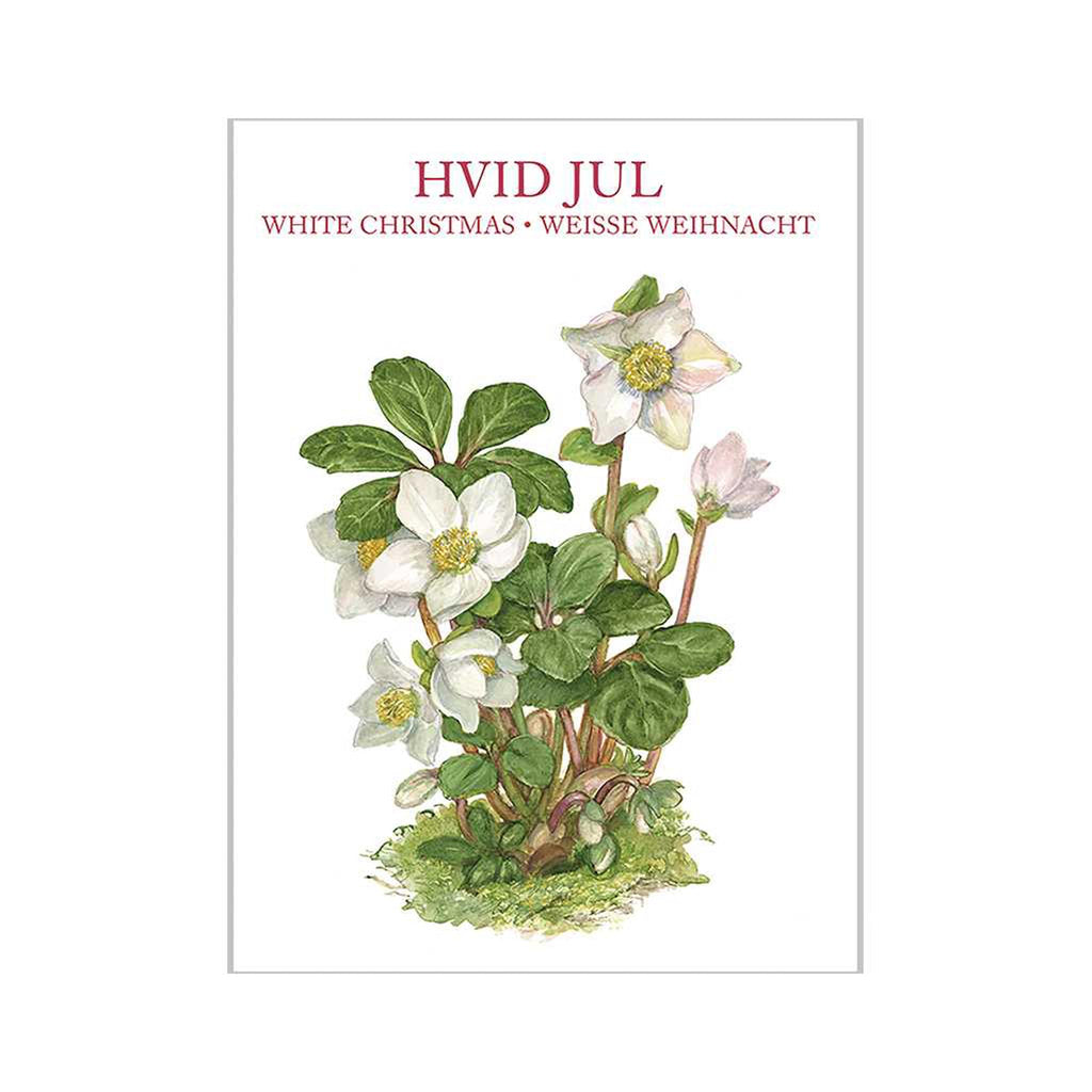 White Christmas Notecards Set of 8