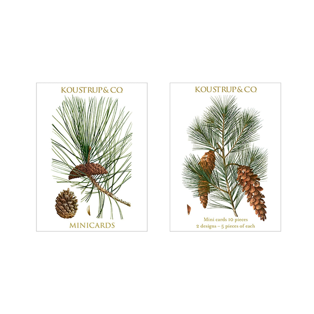 Koustrup & Co. Boxed Mini Cards - Holiday - Pinecones
