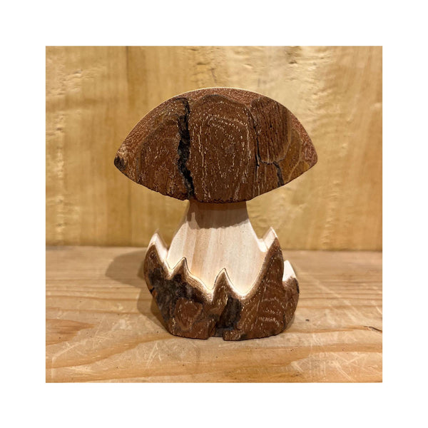 Bark Woodland Mushrooms - Medium
