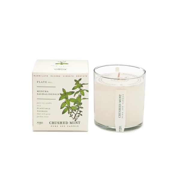 Seeds Collection Soy Candle: Crushed Mint