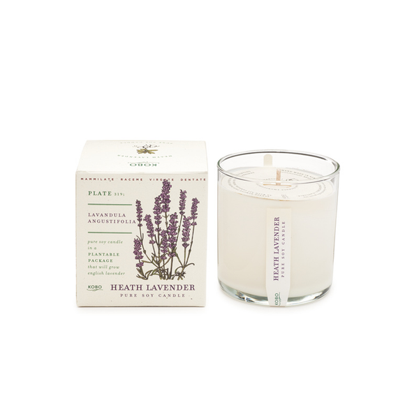 Seeds Collection Soy Candle: Heath Lavender