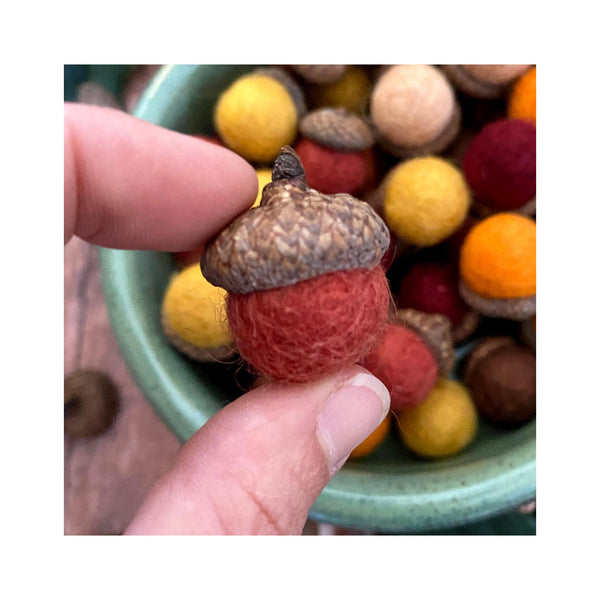 Oakwind Hollow Felted Wool Acorns - Pumpkin Spice - scale