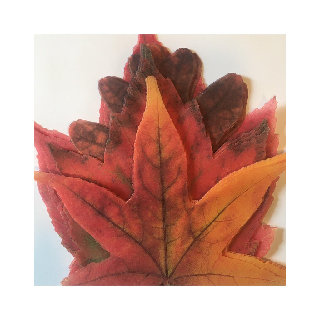 Parchment Leaf Sets - Fall