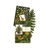 Fresh Cut Paper 3D Pop Up Cards - Winter Tree packaging