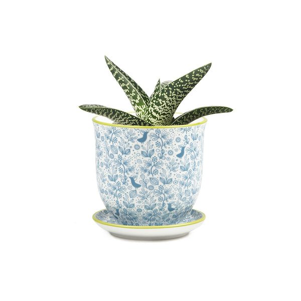 Liberte Plant Pot with Saucer - Blue Birds