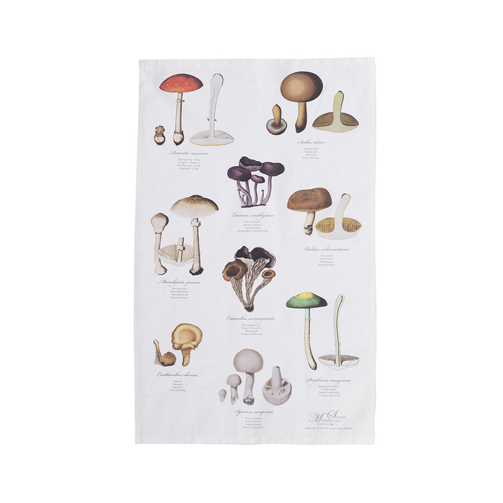 Organic Tea Towel - Mushrooms