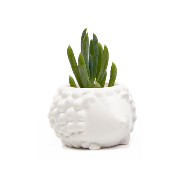 Hedgehog Planter